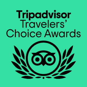 Trip Advisor Logo
